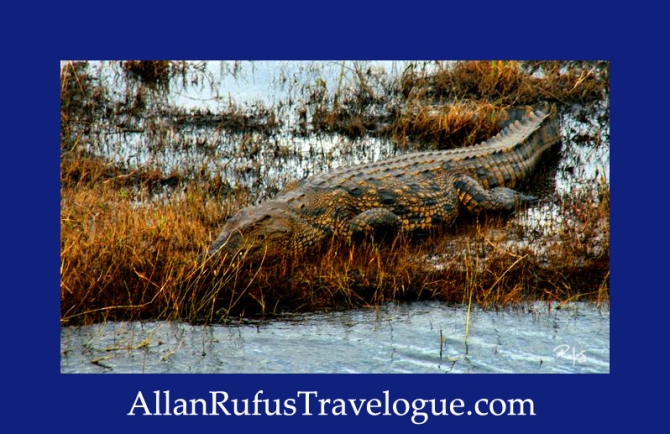 Travelogue - Allan Rufus. Botswana, Kasane, A good reason why not to swim in the Chobe River
